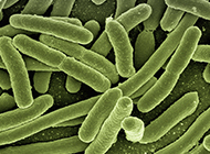 Effizienter verpacken mit Lineartechnik