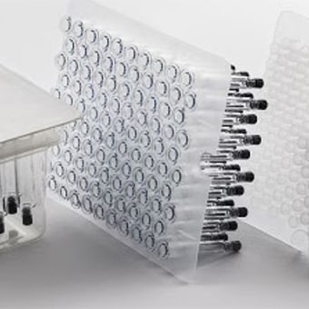 Verpackungslösungen mit Tradition und Zukunft