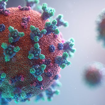 Studie zum mikrobiotischem Wirkstoff