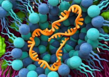 Phar­ma­preis für poly­mer­ba­sier­te Tech­no­lo­gie für mRNA-Therapien