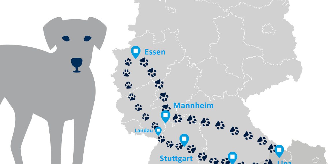 Datenmanagement-Roadshow in Essen, Mannheim, Linz, München & Stuttgart.