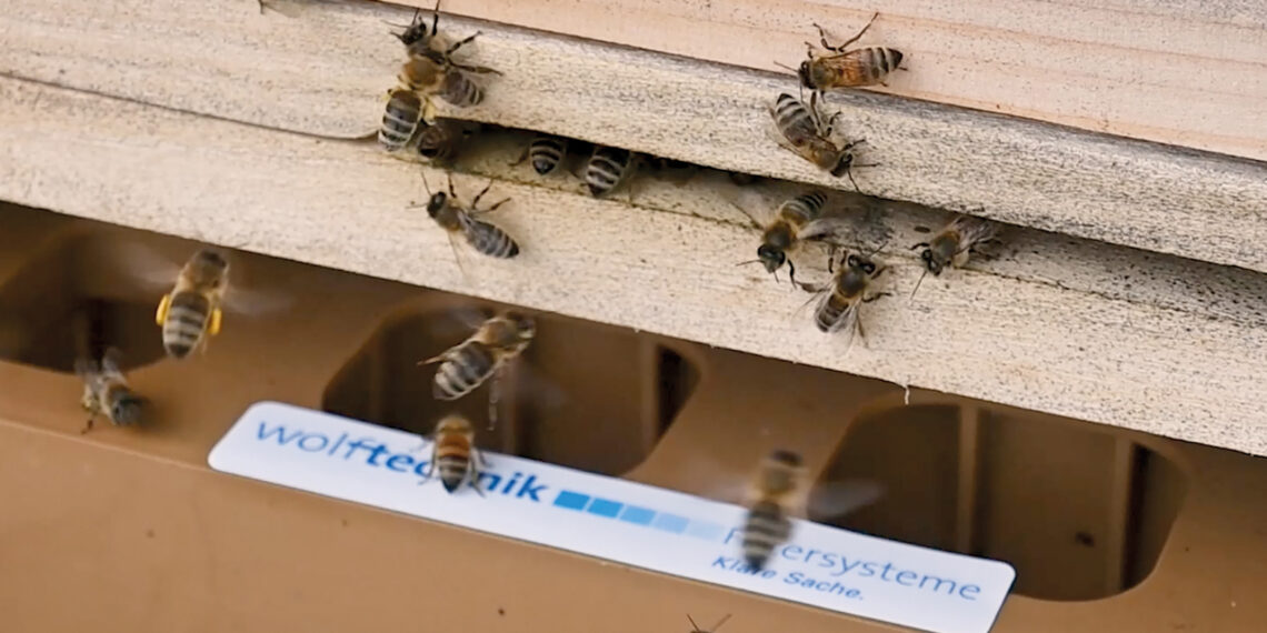 Summen für die Nachhaltigkeit