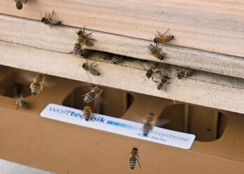 Sum­men für die Nachhaltigkeit