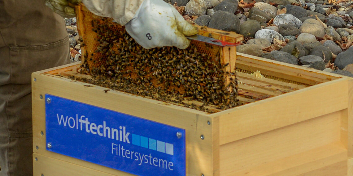 Konzepte der Nachhaltigkeit für das Ökosystem
