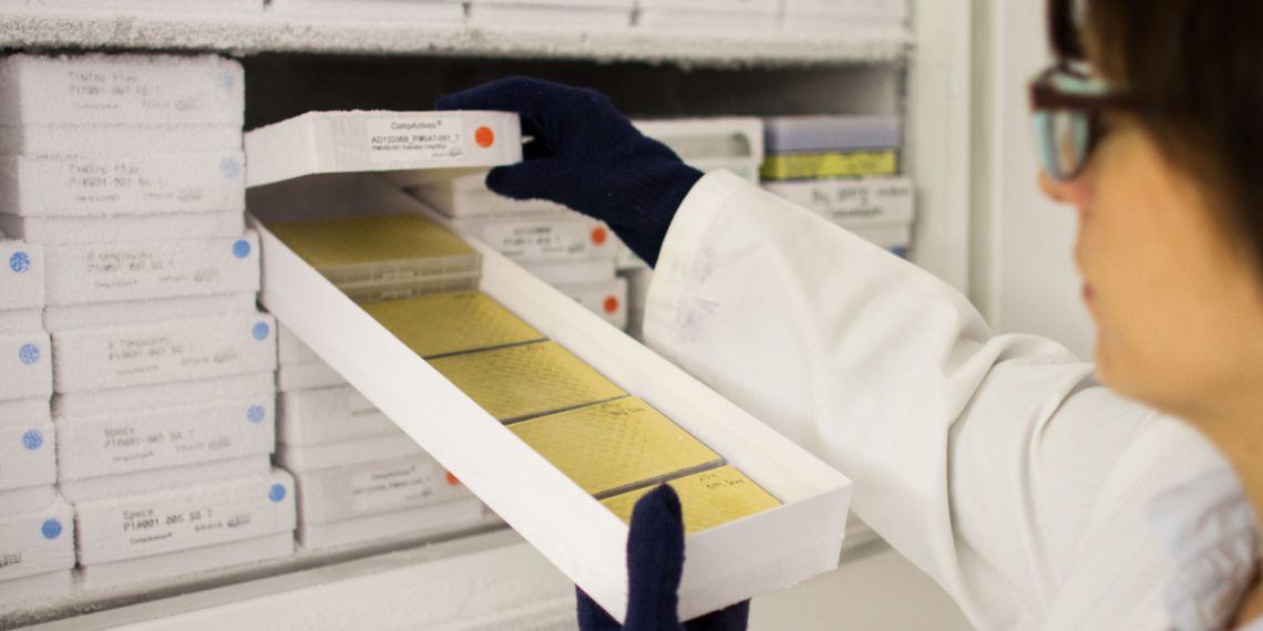 Blick in das BioArchiv der Brain AG mit mehr als 50.000 Naturstoffen und Fraktionen aus essbarem Pflanzenmaterial.