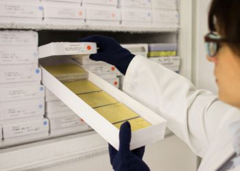 Blick in das BioArchiv der Brain AG mit mehr als 50.000 Naturstoffen und Fraktionen aus essbarem Pflanzenmaterial.