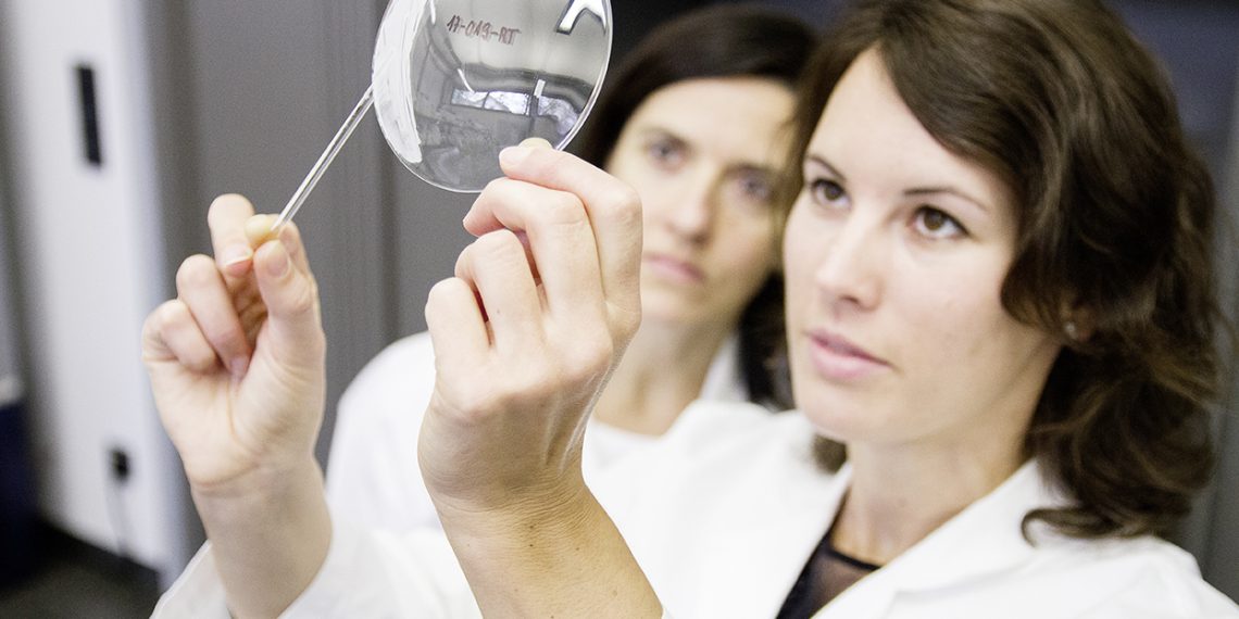 Globaler Getränkekonzern tritt neuem FRESCO-Programm der BRAIN zur Identifizierung naturbasierter Konservierungsstoffe bei