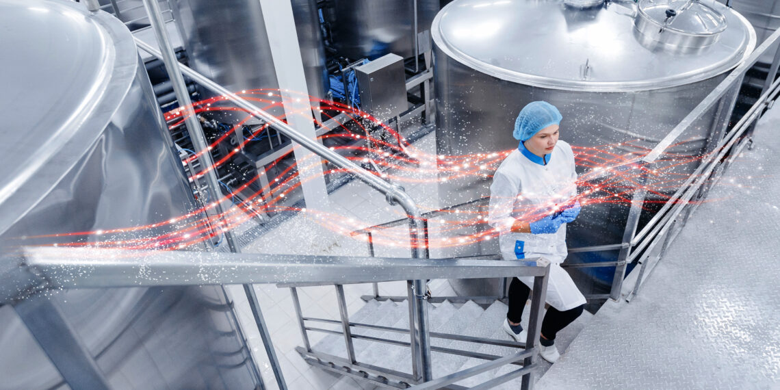 Energieeffizienz in der Lebensmittelindustrie erhöhen