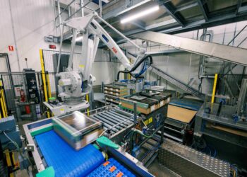 Auto­ma­ti­sie­rung für die Fleisch- und Proteinindustrie