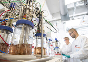 Qua­li­täts­kon­trol­le für Pyrolyseöle