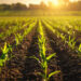 Additive für Agrochemikalien