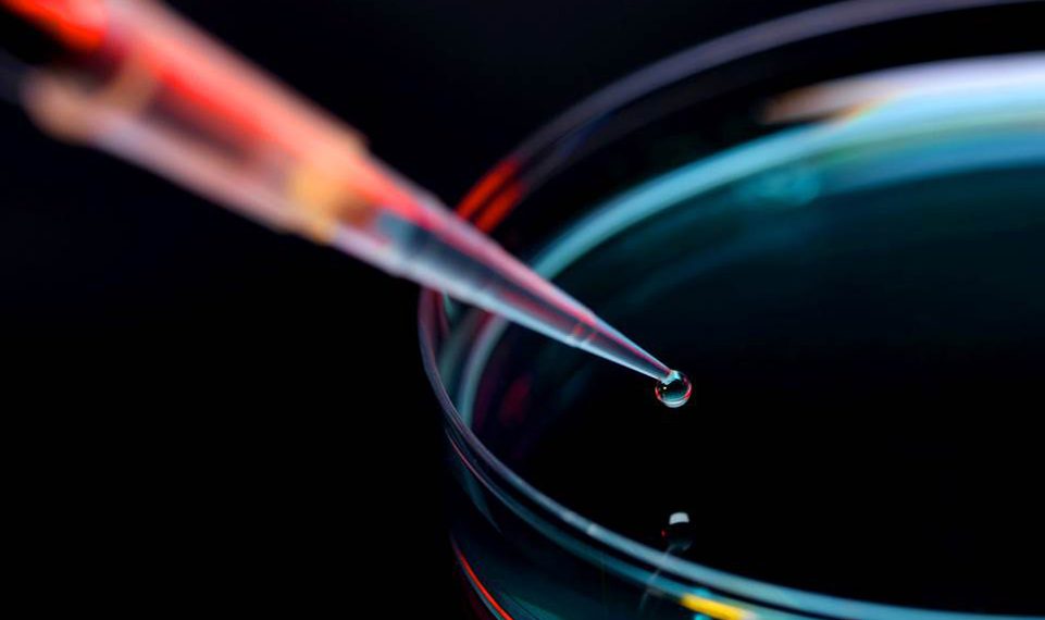 Die Welt heller und bunter machen Wir wollen Materiallösungen entwickeln, die die Grenzen des Möglichen überwinden.