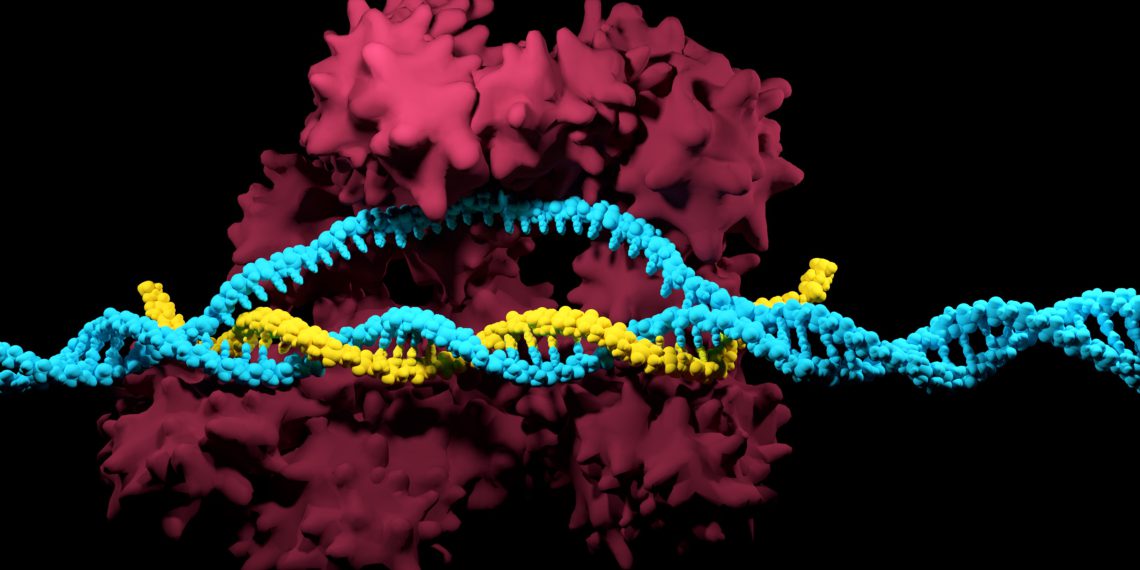 Merck erhält in Australien Patent für CRISPR-Nickasen für grundlegende Genomeditierungstechnologie