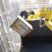 Auf der Warehouse Tech Middle East 2019 in Dubai präsentiert Dematic erstmals ihr umfangreiches Portfolio an Automatisierungstechnik wie das Roboter Piece Picking Module. Bild: Dematic