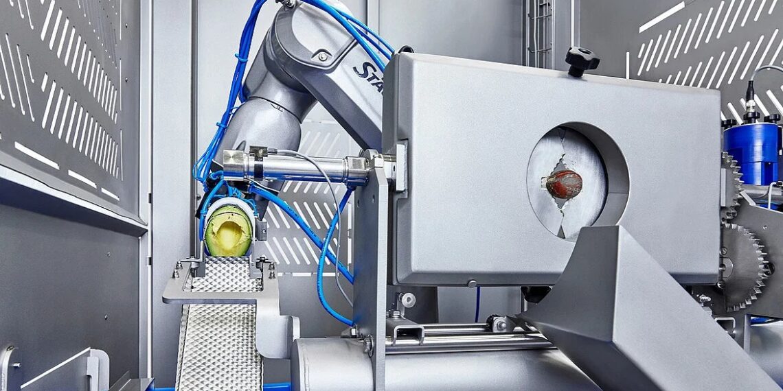 Automatisierung in der Avocado Verarbeitung