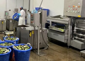 Wasch­li­nie für Salate