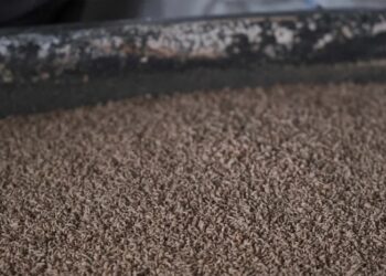 Nach­hal­ti­ge Ernäh­rung durch alter­na­ti­ve Proteine