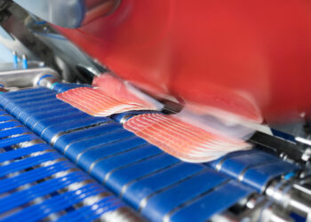 Auto­ma­ti­sier­te Schnei­de- und Verpackungslinien