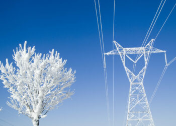 Dekar­bo­ni­sie­rung durch digi­ta­le Technologien