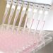 Kultivierung von Klonen in 96-Well Platten während der Zelllinienentwicklung. Bild: UGA Biopharma