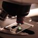 Medizin Mikroskop Labor Analyse Chemie Forschung Chemiker Herstellung