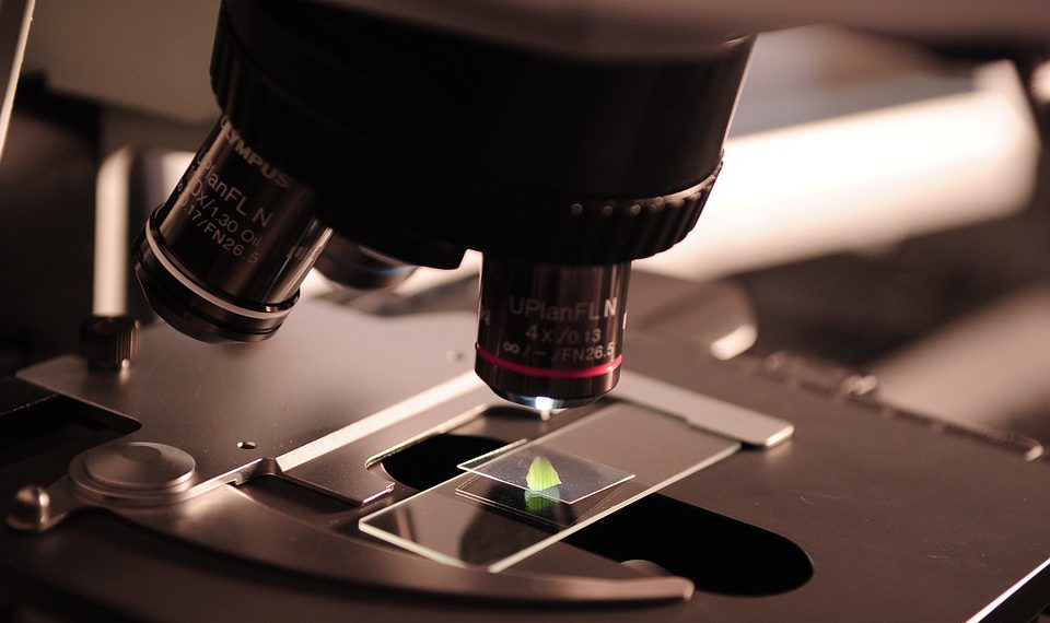 Mikroskop Forschung Labor Wissenschaft Medizin Pharma Biotech PhT