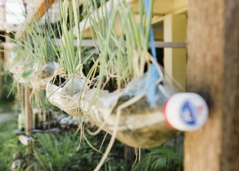 PET-Behälter und Kunststoffverpackungen stehen derzeit in der öffentlichen Kritik. Reduzieren und Recyceln gehören zu den Geboten der Stunde. KHS bietet hier konkrete Lösungen und verfügt über ein umfassendes Know-how, das die Nachhaltigkeitsbestrebungen seiner Kunden dezidiert unterstützt. Bild: KHS-Gruppe