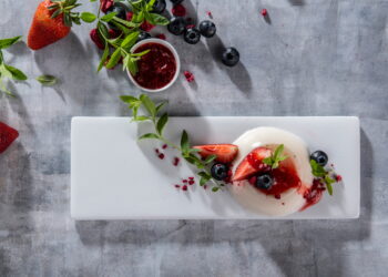 Tech­no­lo­gie­zen­trum für alter­na­ti­ve Proteine