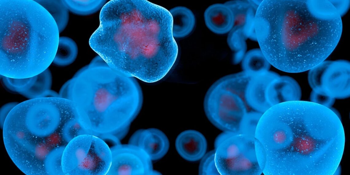 Bio­me­than aus Res­ten der Bier- und Whiskeyindustrie