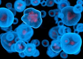 Bio­me­than aus Res­ten der Bier- und Whiskeyindustrie