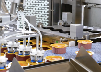 Verpackungslösungen für die Lebensmittelindustrie von Multivac