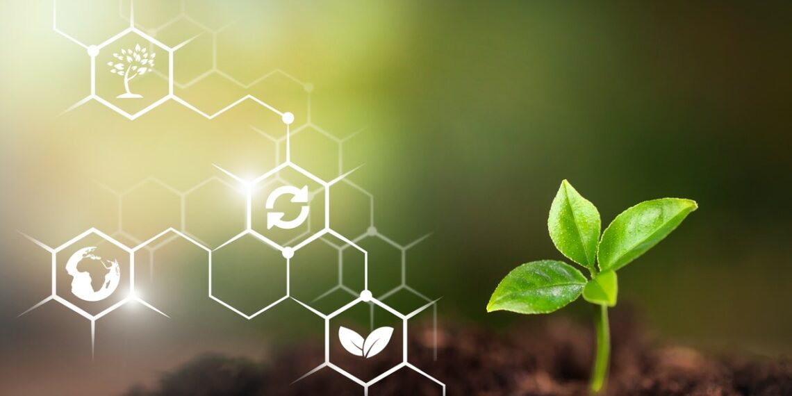 Stu­die zur Nachhaltigkeit