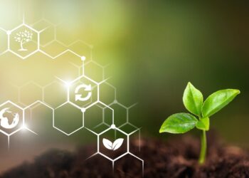 Stu­die zur Nachhaltigkeit