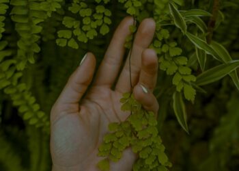 Ener­gie­spei­che­rung und Her­stel­lung von erneu­er­ba­ren Kraftstoffen