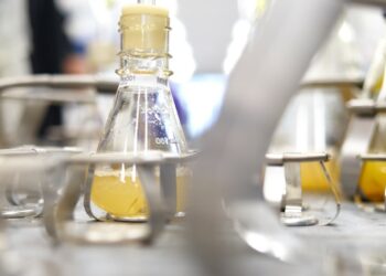 Ver­rin­ger­te Ver­wen­dung von Mikroplastik