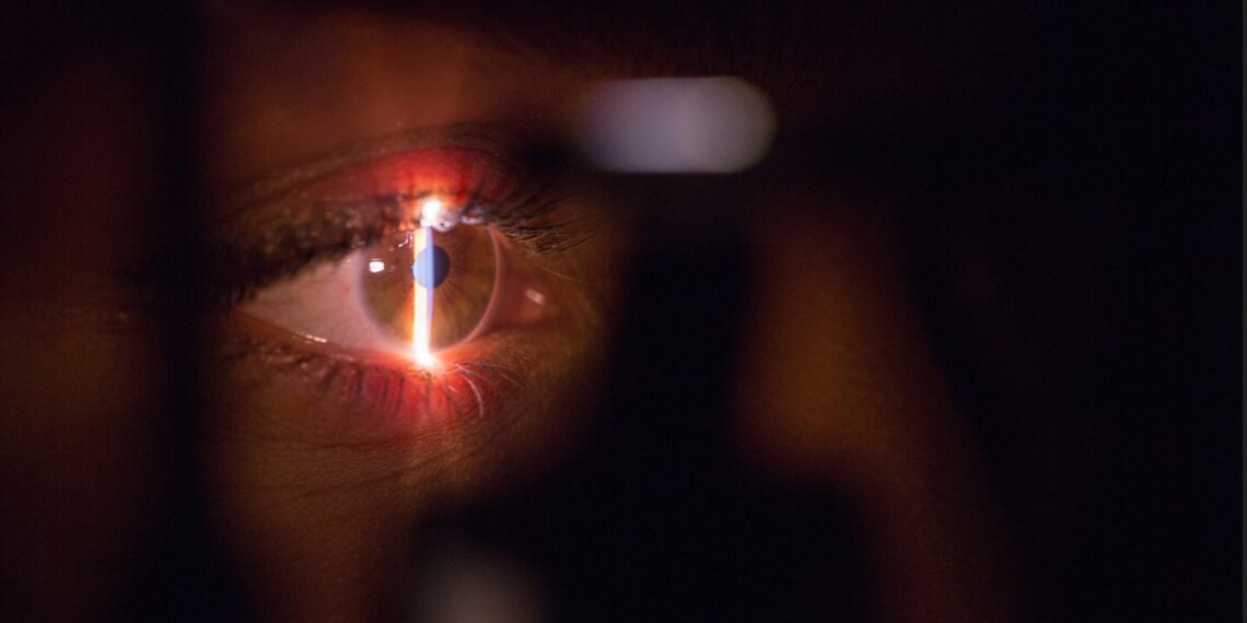 Partnerprogramm zur biometrischen Authentifizierung