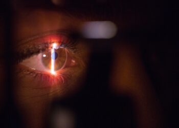 Part­ner­pro­gramm zur bio­me­tri­schen Authentifizierung