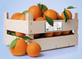 Obst und Gemü­se cle­ver beschriftet