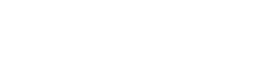 Solids Dortmund Logo Weiss