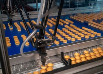 Pick and Place-Linie für Bäckereiunternehmen