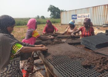 SAVE FOOD Pro­jekt­wett­be­werb&nbsp;2024