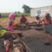 SAVE FOOD Projektwettbewerb 2024