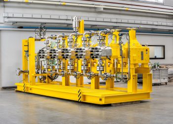 Insgesamt zwölf Prozesspumpen der Reihe LDH5 werden nach Saudi-Arabien geliefert. Bild: LEWA