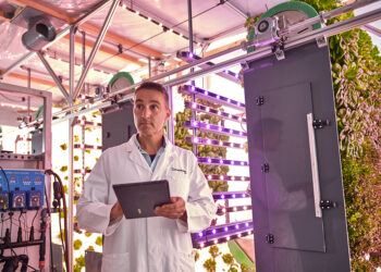 Hand­lungs­emp­feh­lun­gen für resi­li­en­te Wertschöpfungsketten