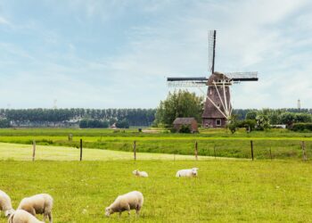 Erdgasleitung für Wasserstoff-Transport an deutsch-niederländischer Grenze