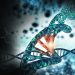 Merck und genOway schließen strategische Allianz zur Entwicklung von Nagetiermodellen unter Einsatz von CRISPR/Cas9