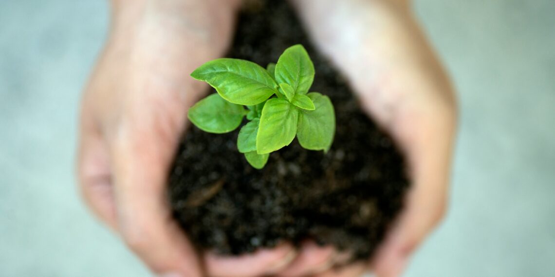 Siemens erhält Platin-Zertifikat im EcoVadis Sustainability Rating