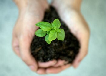 Sie­mens erhält Pla­tin-Zer­ti­fi­kat im Eco­Va­dis Sus­taina­bi­li­ty Rating