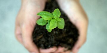 Sie­mens erhält Pla­tin-Zer­ti­fi­kat im Eco­Va­dis Sus­taina­bi­li­ty Rating