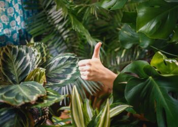 ISCC PLUS-Zer­ti­fi­zie­rung